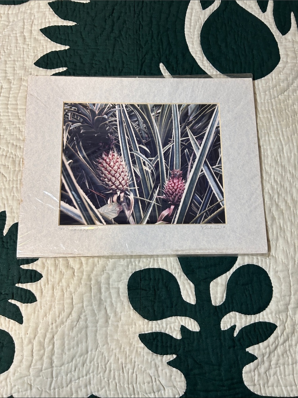 Hawaiian Pineapple 🍍🖼️ 14 x 11 by Photography by Vicki of Kailua-Kona, Hawai
